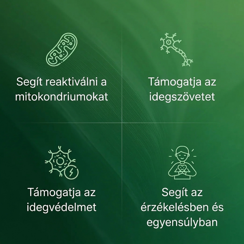 Amla Szupergyümölcs Kapszulák